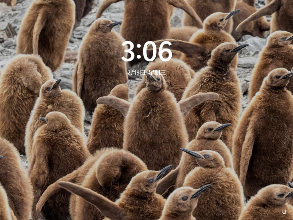 Win11正式完整版镜像