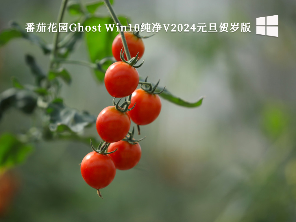 番茄花园Ghost Win10纯净V2024元旦贺岁版