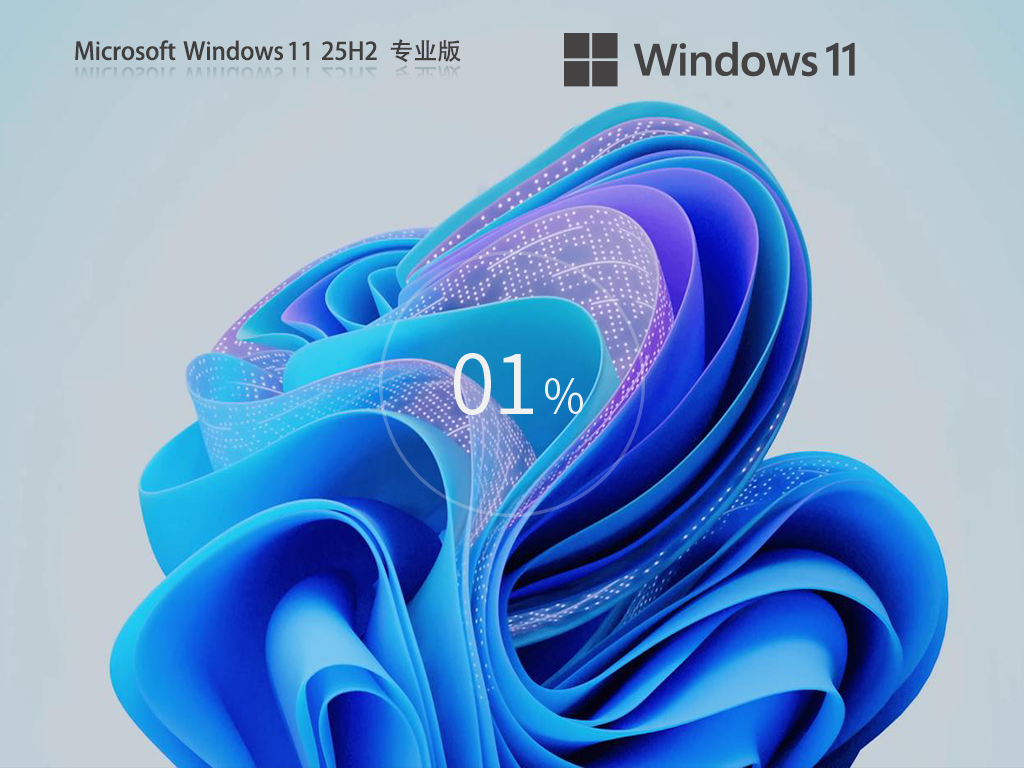 Windows11 25H2 64位 专业版 V26200.6725